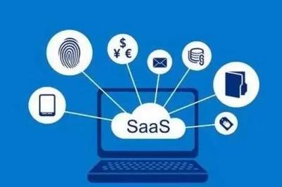 SaaS模式 應用軟件服務的革命